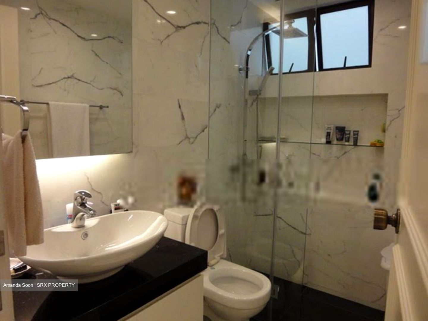 Tanglin Park (D10), Condominium #399794631